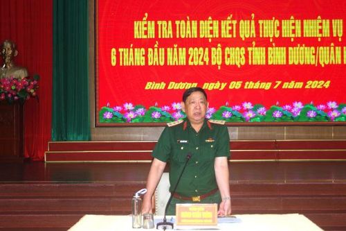 Kiểm tra nhiệm vụ quân sự quốc phòng 6 tháng đầu năm tại Bình Dương