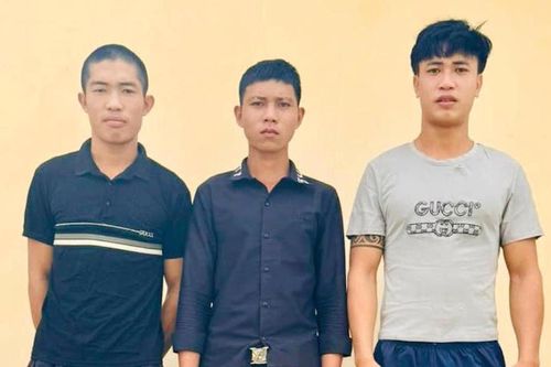 Đã sai còn quấy, hai anh em trai cùng 'xộ khám'