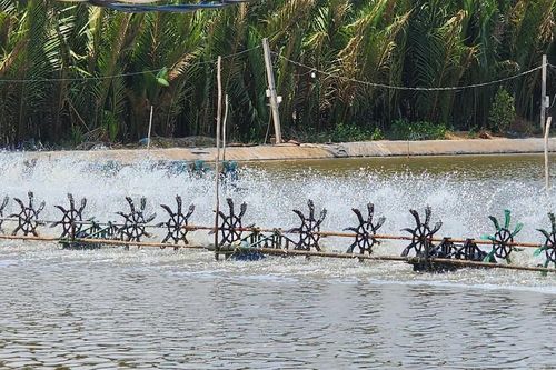 TPHCM: Giá trị sản xuất nông nghiệp đến năm 2025 đạt 650-750 triệu đồng/ha/năm