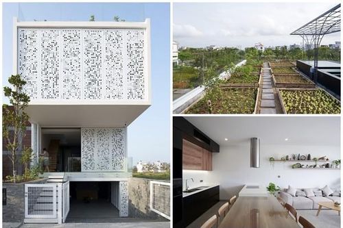 Nhà phố với khu vườn trên mái đẹp miễn chê ở Đà Nẵng