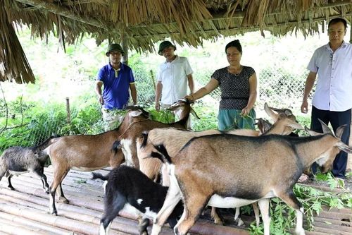 Giúp đồng bào dân tộc thiểu số vươn lên thoát nghèo