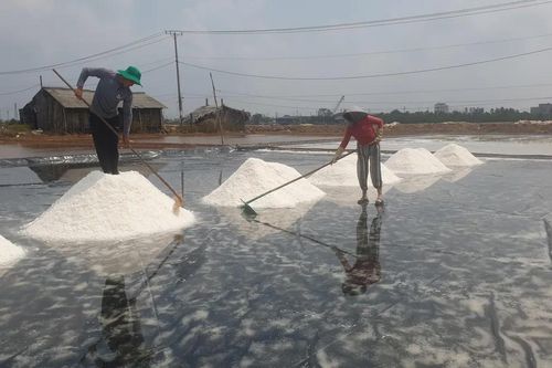 Festival nghề muối Việt Nam - Bạc Liêu năm 2024 có nhiều hoạt động quan trọng