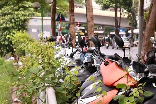 Xe máy, rác thải 'bức tử' hai bờ sông Tô Lịch