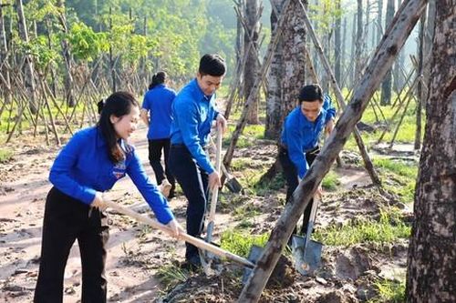 Vườn cây thanh niên hàng chục tỉ đồng của tuổi trẻ đất Thủ