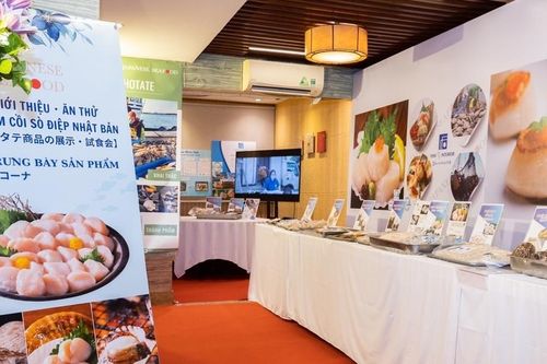 Hai ngày thưởng thức sò điệp cao cấp, trải nghiệm ẩm thực Omakase Nhật Bản