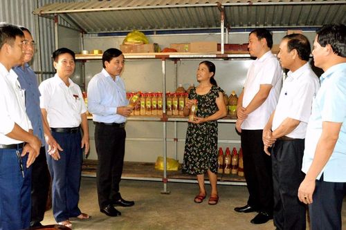 HĐND tỉnh Nghệ An đề nghị tháo gỡ vướng mắc trong xây dựng nông thôn mới
