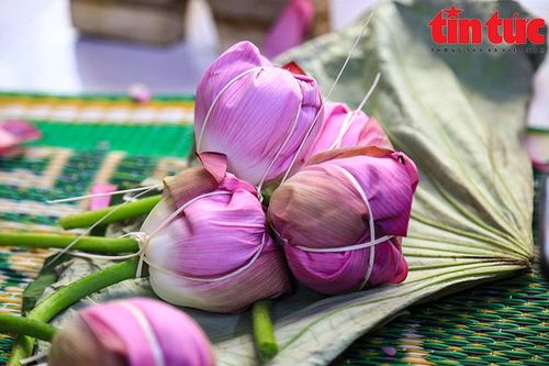 Nghệ thuật ướp trà sen - Nét văn hóa thanh tao của người Hà Nội