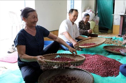 Hỗ trợ phụ nữ khởi nghiệp, làm giàu