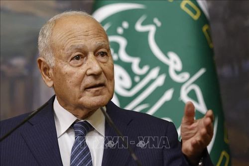 Liên đoàn Arab tiếp tục nỗ lực thúc đẩy hòa bình và hòa giải tại Libya