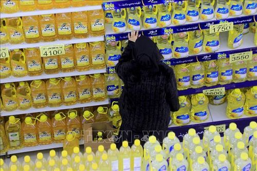 Thị trường lương thực thế giới ghi nhận tín hiệu ổn định
