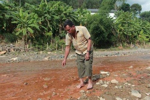 Vụ cá chết bất thường: Xác định nguồn gây ra nước suối bị đục
