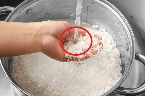 '3 nhớ 4 không' để nhận biết gạo 'ngậm' hóa chất trong nháy mắt