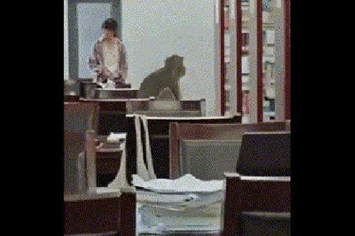Clip: Khỉ hoang đột nhập thư viện trường học và cái kết bất ngờ