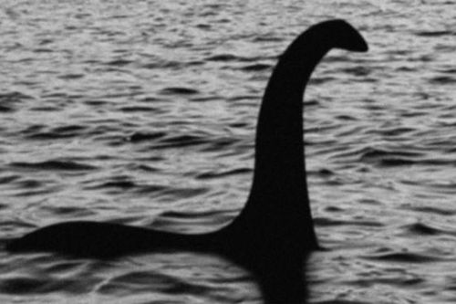 Vi khuẩn giống quái vật hồ Loch Ness có cách bắt mồi độc lạ