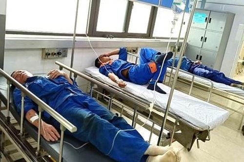 Tìm hiểu về ngộ độc thực phẩm do histamine: Nguyên nhân khiến 142 công nhân ở Hải Phòng bị ngộ độc