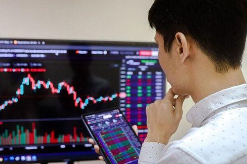 Thị phần môi giới HOSE quý II/2024: VPS đi xuống, KIS Việt Nam thế chỗ FPTS