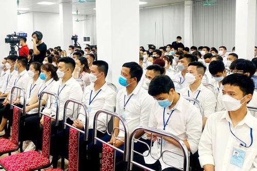 Quý 2/2024, cả nước có 1,3 triệu thanh niên không có việc làm