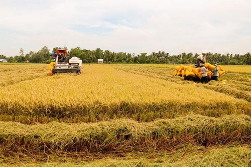 Nâng mục tiêu xuất khẩu nông lâm thủy sản năm 2024 lên 57 - 58 tỷ USD