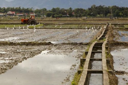 Xây dựng mẫu công trình thủy lợi nhỏ