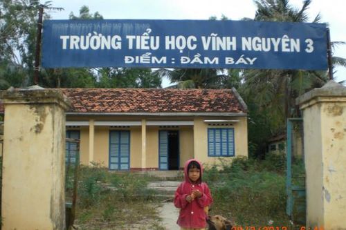Trường đảo