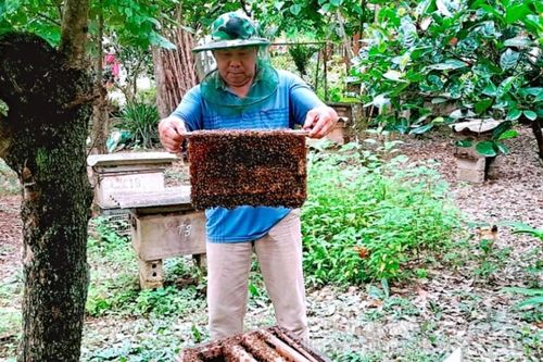 Minh Tiến: Phát triển nuôi ong mật theo hướng VietGAP