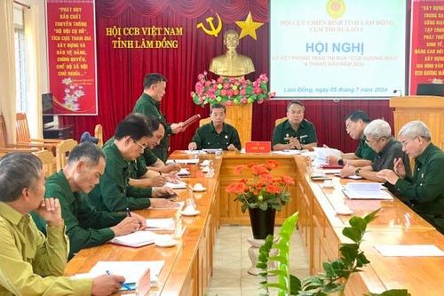 Cụm Thi đua số 1 Hội CCB tỉnh: Đạt nhiều kết quả trong phong trào thi đua gương mẫu 6 tháng đầu năm