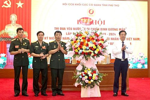 Đại hội thi đua yêu nước 'Cựu chiến binh gương mẫu' Khối các cơ quan tỉnh lần thứ IV