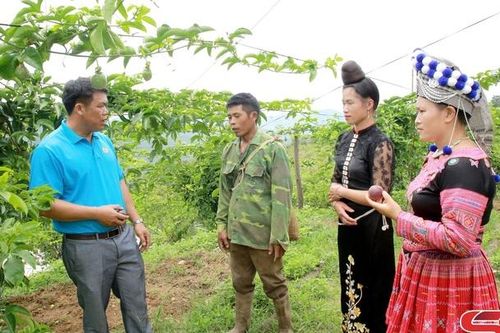 Ưu tiên nguồn lực phát triển vùng cao, biên giới
