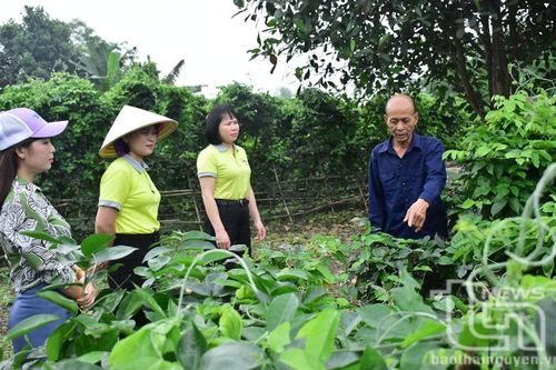 Chung tay xây dựng nông thôn sạch, nông nghiệp xanh