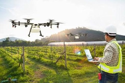 'Cái nôi' của đổi mới sáng tạo công nghệ nông nghiệp do AI thúc đẩy