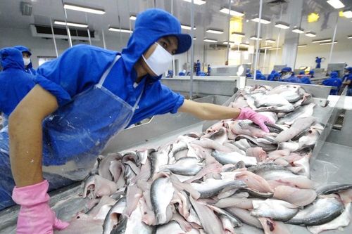 Đa Quốc gia IDI: Sẽ chia cổ tức năm 2023 bằng cổ phiếu tỷ lệ 20%