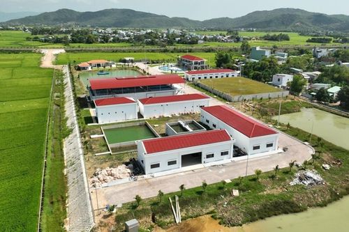 Bình Định: Hơn 600 doanh nghiệp thành lập mới trong 6 tháng đầu năm 2024