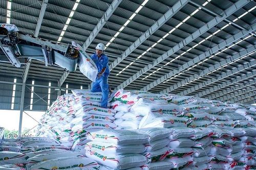 Hàng loạt cổ phiếu 'tăng nóng', triển vọng ngành phân bón ra sao?