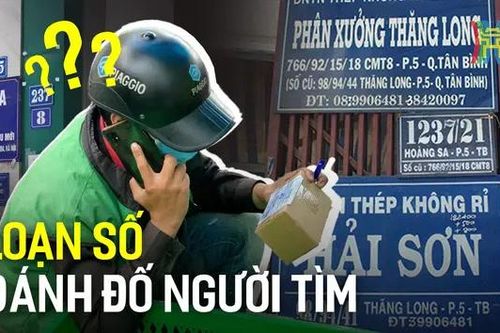 Loạn số đánh đố người tìm