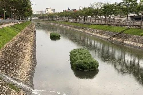 Để dòng sông Tô Lịch lại xanh trong