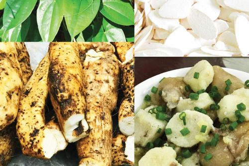 Món ngon bổ dưỡng từ củ mài