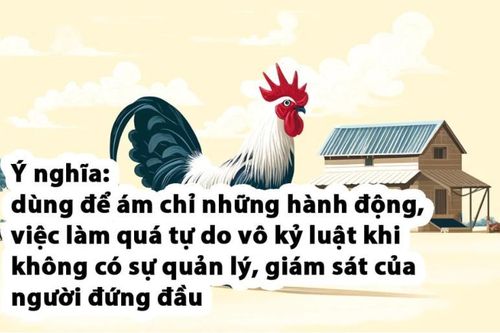 Đố bạn trong 10 giây đoán được câu thành ngữ này