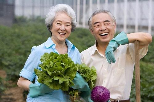 Bí quyết trường thọ của 1.000 người cao tuổi: Không đến từ thói quen tập thể dục