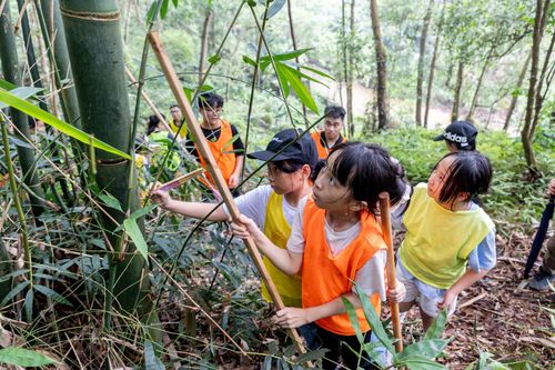 'Bỏ phố về rừng', trẻ được học cách sinh tồn, trồng cây bảo vệ rừng thế nào?