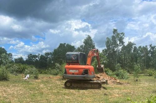 Vụ xác lợn chết vứt la liệt gây ô nhiễm: Cơ quan chức năng vào cuộc