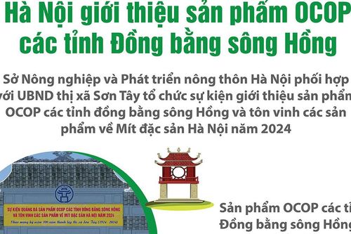 Hà Nội giới thiệu sản phẩm OCOP các tỉnh Đồng bằng sông Hồng