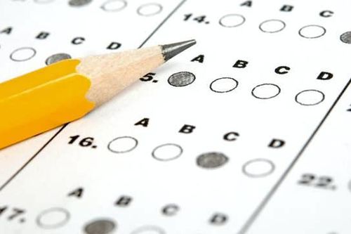 Học sinh lớp 7 thi đạt IELTS 7.5 ngay trong lần thi đầu tiên