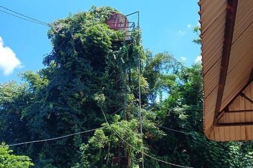 Chỉ có hơn 28% công trình cấp nước tập trung tại Đắk Nông hoạt động