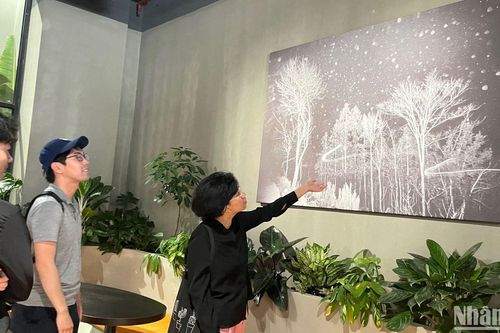 Khám phá 'Mầm sống trong đêm' qua 15 bức ảnh khổ lớn