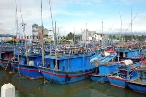 Bình Định: Trên 233 tỷ đồng xây chợ hải sản Tam Quan Bắc