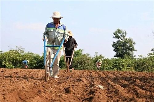Đề xuất tiếp tục miễn thuế sử dụng đất nông nghiệp: Vì lợi ích của dân