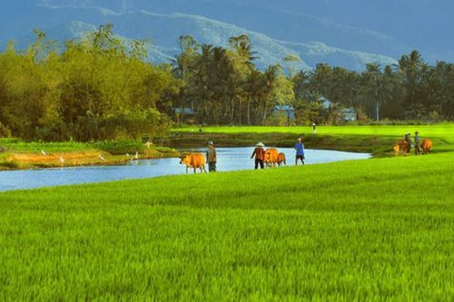 Kí ức tháng Bảy
