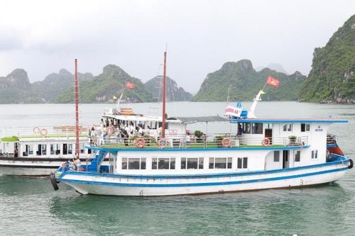 Đề xuất thu phí tham quan vịnh Hạ Long 600.000 đồng/du khách