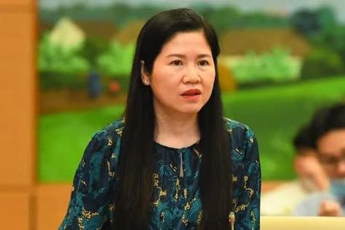 Thủ tướng phê chuẩn Chủ tịch tỉnh, bổ nhiệm lại lãnh đạo 2 cơ quan