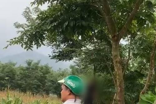 Phát hiện hai người treo cổ tự tử trên đồi cây ở Yên Bái